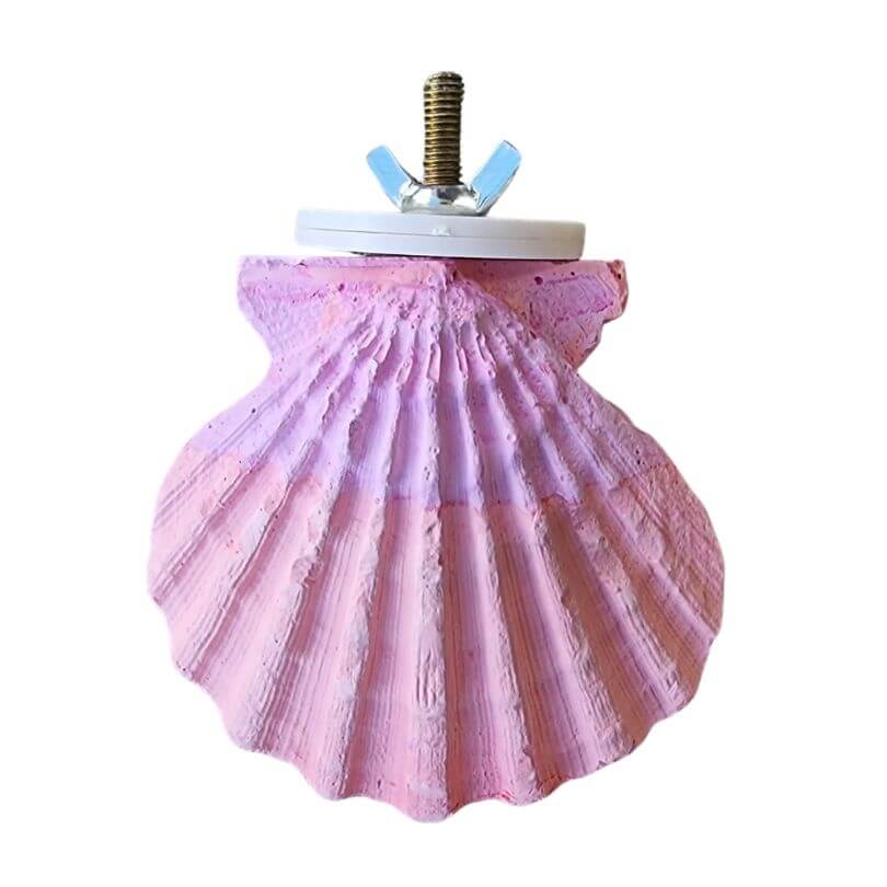 Calcium Clam Nibble