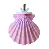 Calcium Clam Nibble