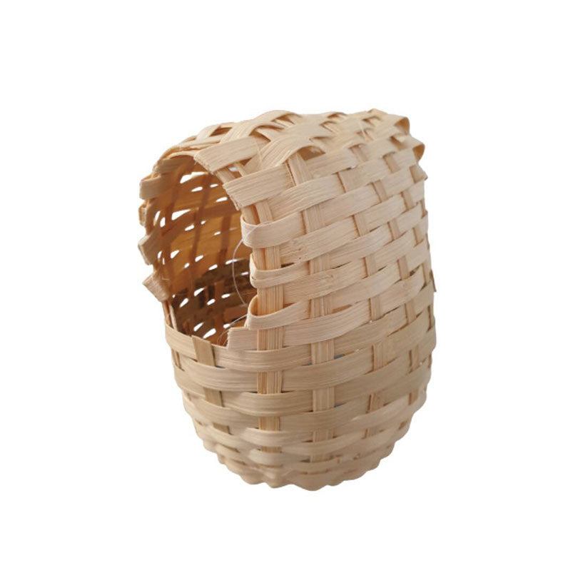 Cane Finch Nests