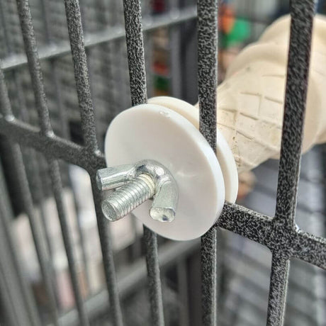 Cinnamon Ice-cream Perch