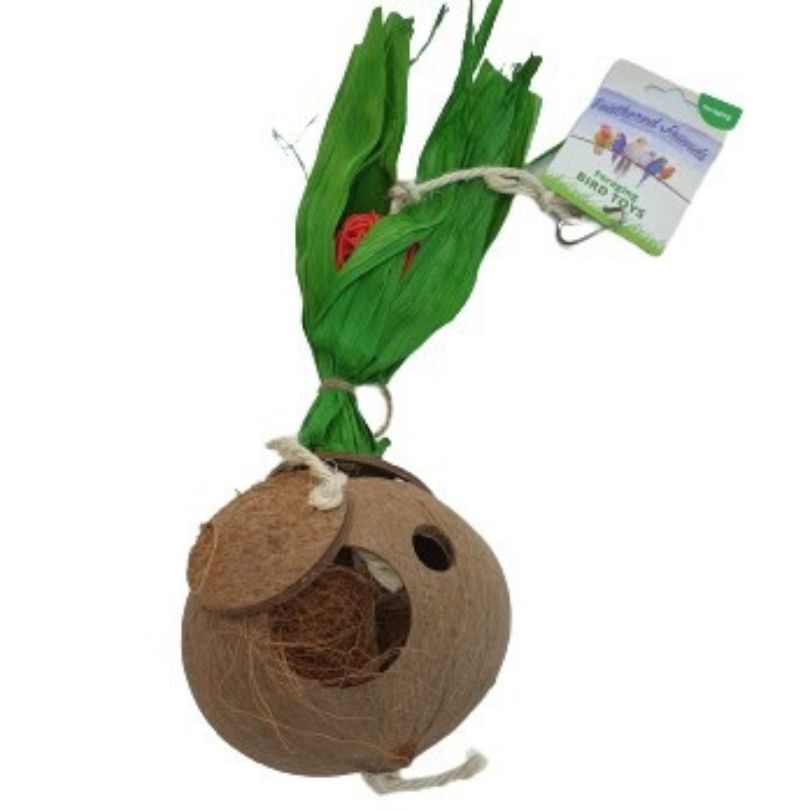 Coconut Flowerpot Forager