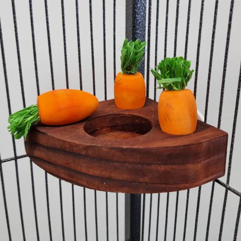 Corner Carrot Forager