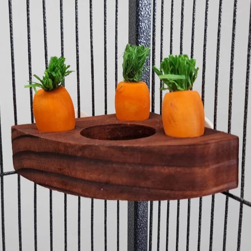 Corner Carrot Forager