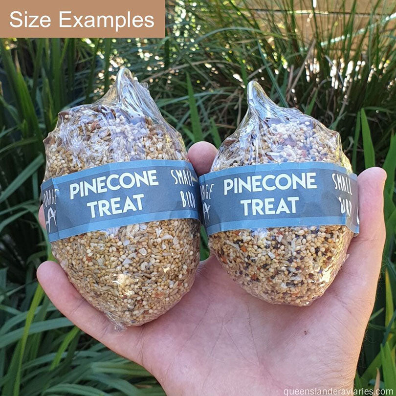 Forage Small Bird Pinecone Treats
