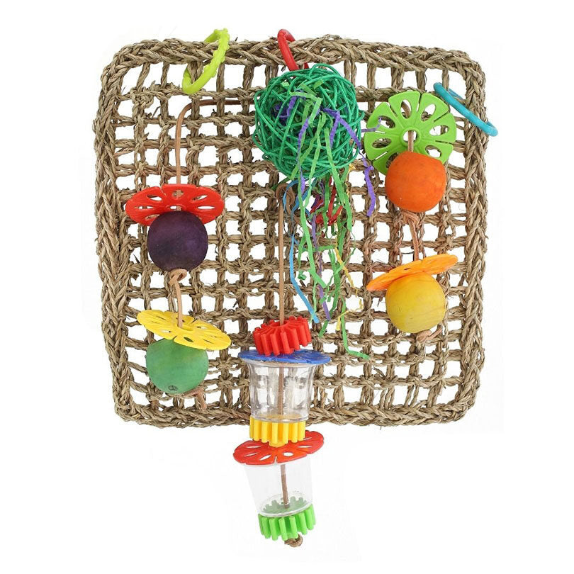 Forage and Play Wall