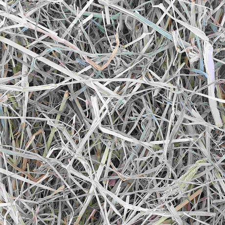 Raw for Birds Foraging Grass