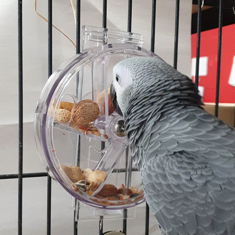 Foraging Toys – Queenslander Aviaries