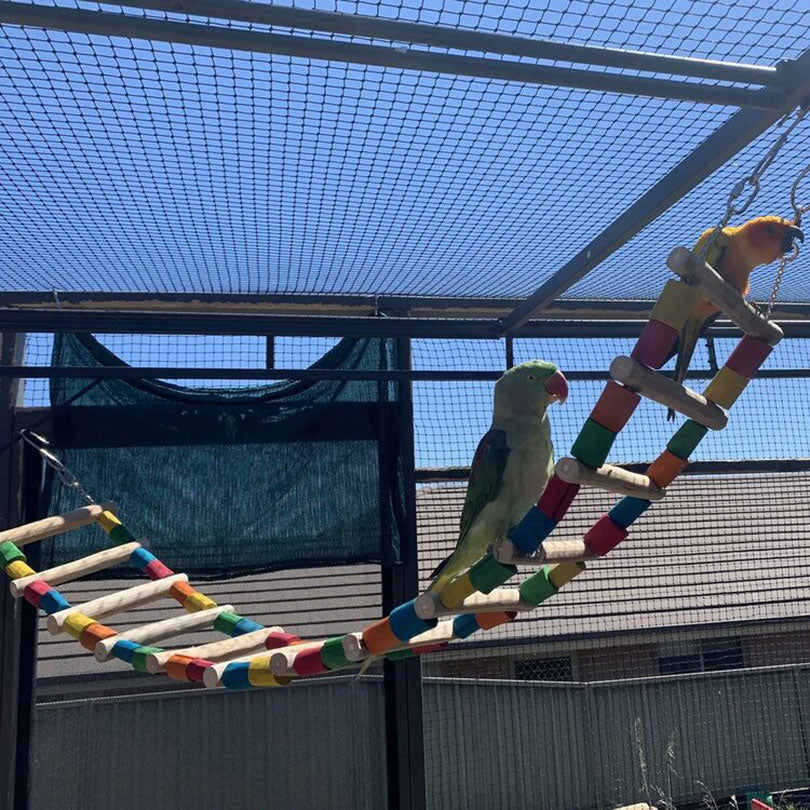 Image showcasing Large Bird Toys – Queenslander Aviaries