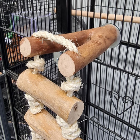 Great Escape Ladder and Perch