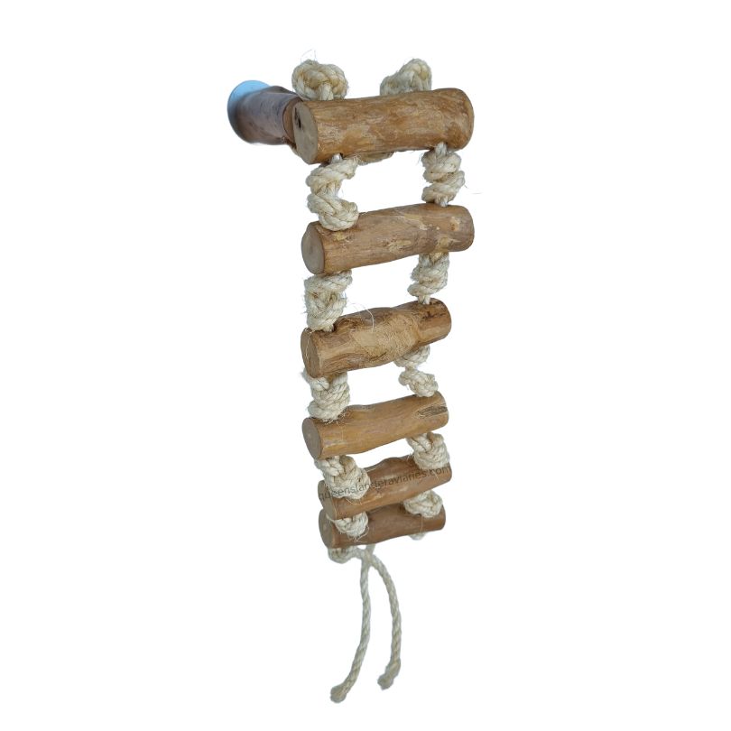 Great Escape Ladder and Perch