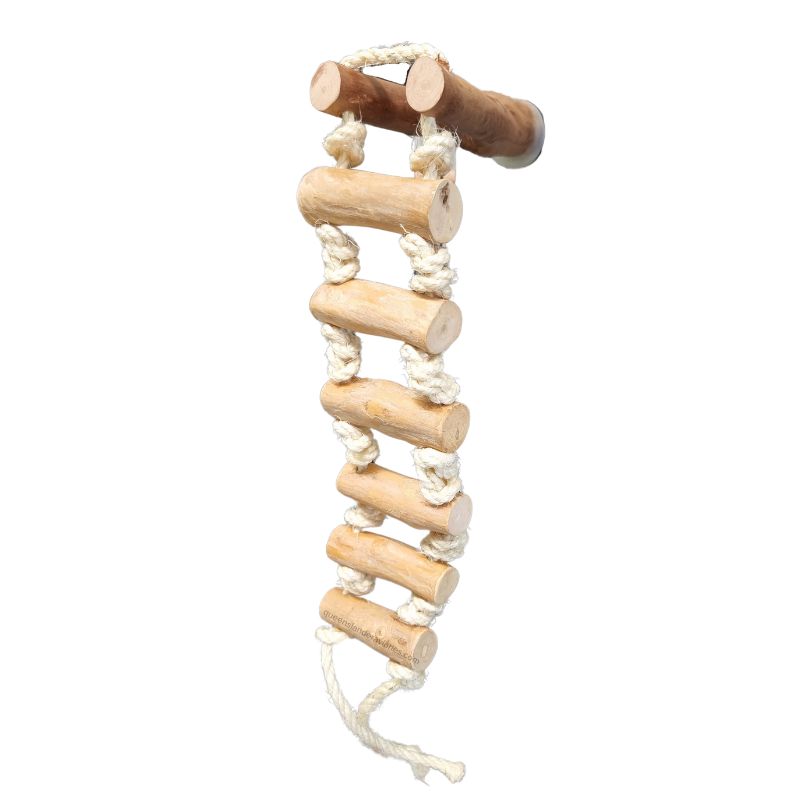Great Escape Ladder and Perch