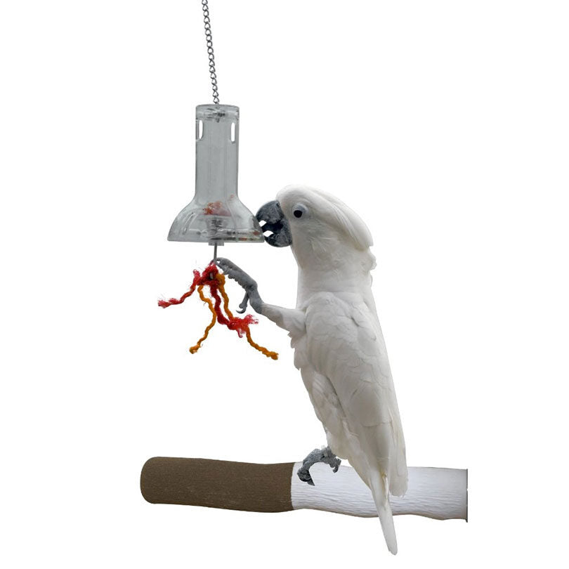 Hanging Foraging Capsule – Queenslander Aviaries