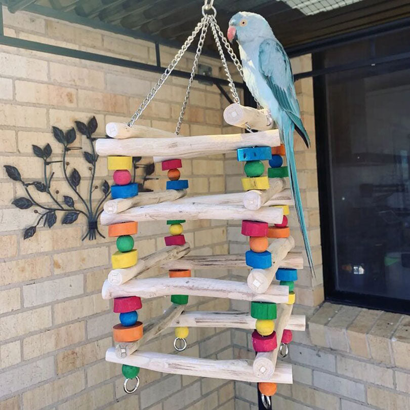 Stunning Large Habitat Bird Aviaries With Ladder image