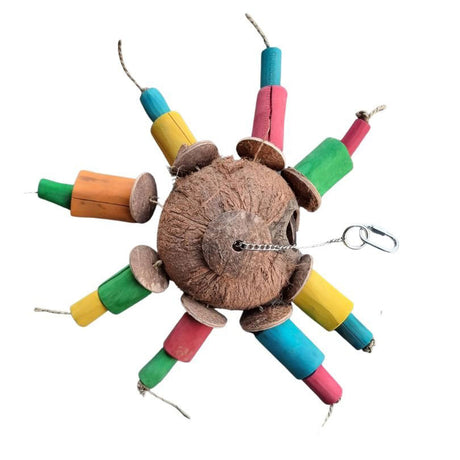 Java Spider Forager