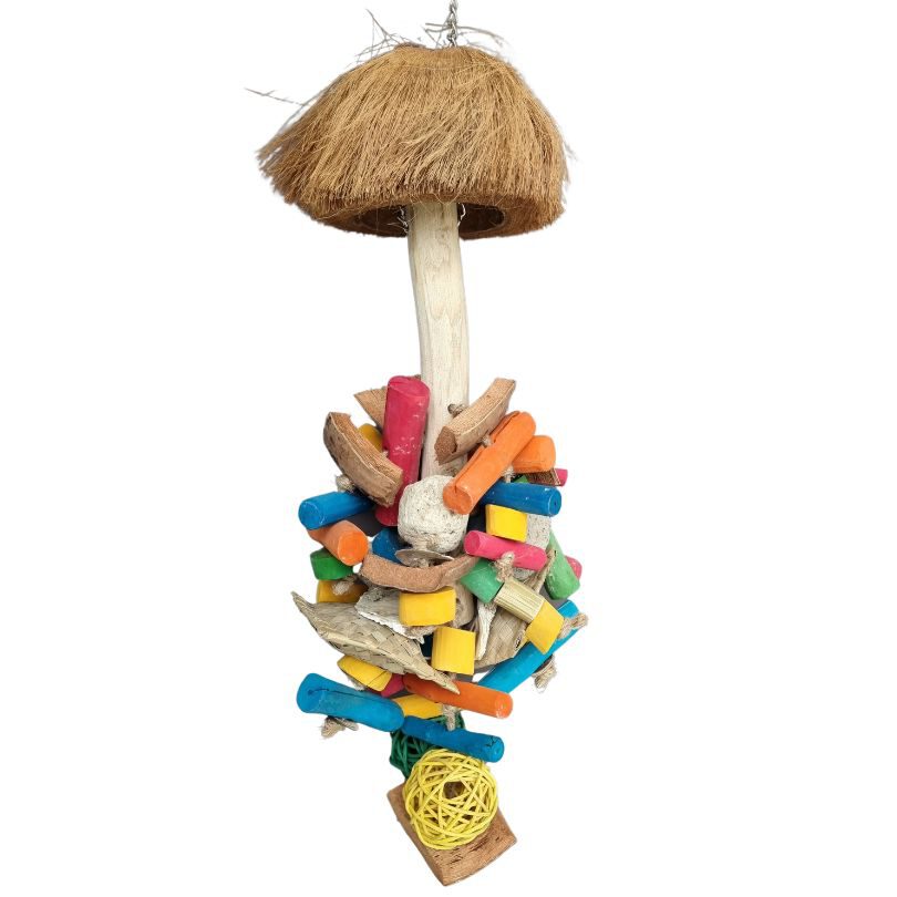 Large Bird Toys – Queenslander Aviaries