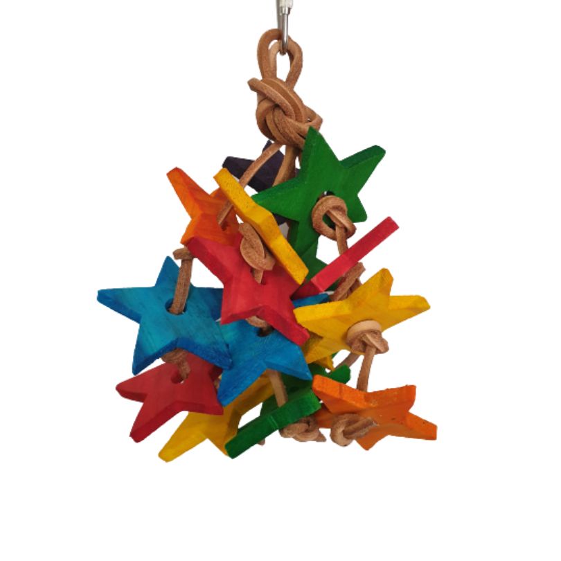 Leather Star Nibble