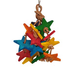 Leather Star Nibble