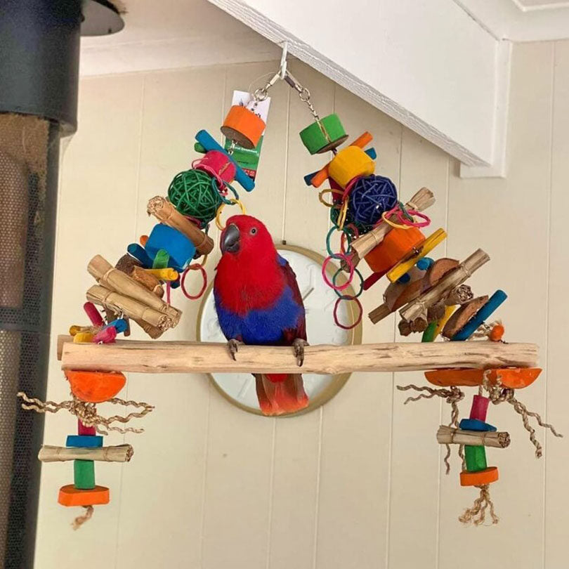 A closer look at Cleaning Large Parrot Swinging Area