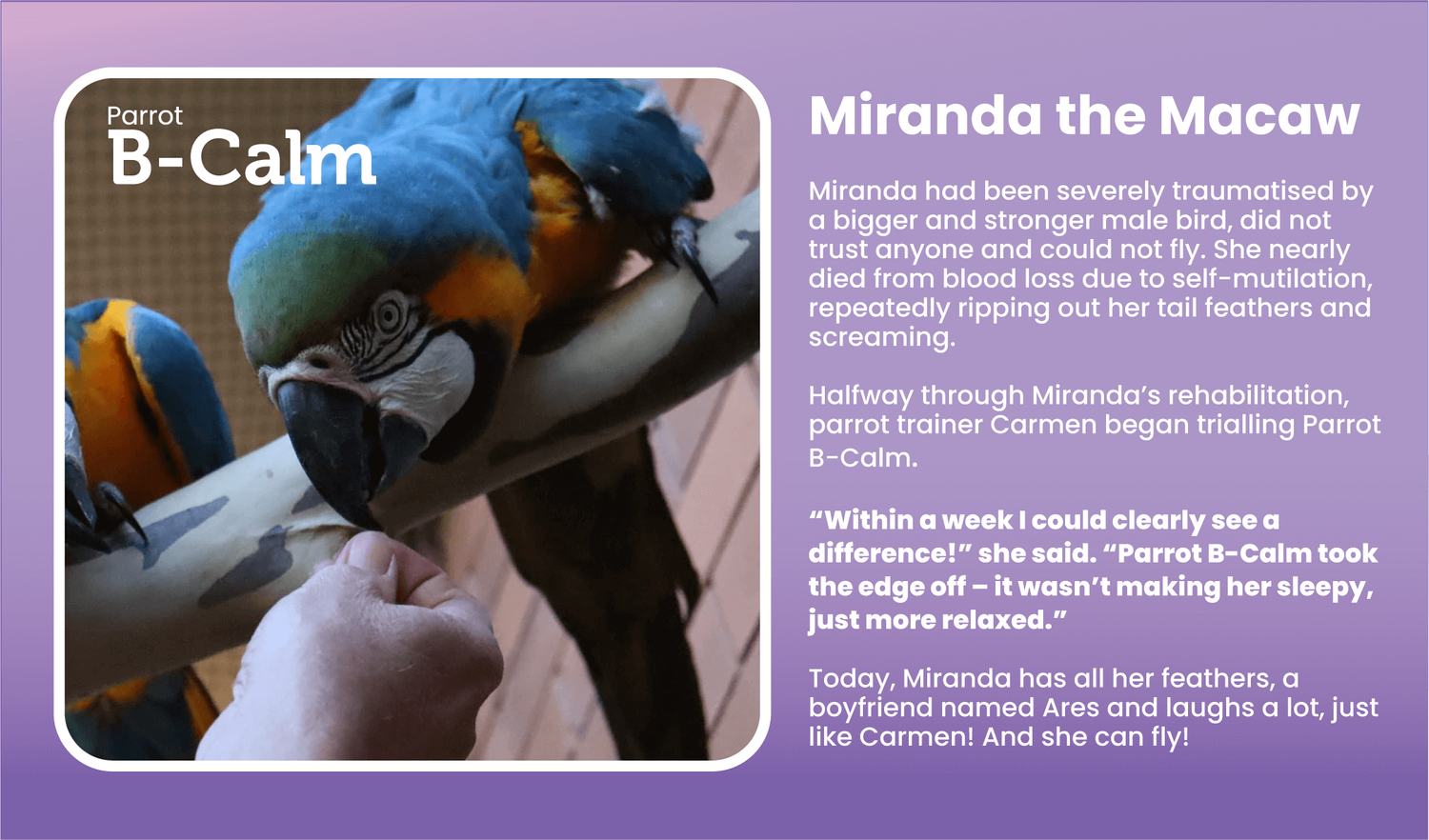 Vetafarm B-Calm Pellets