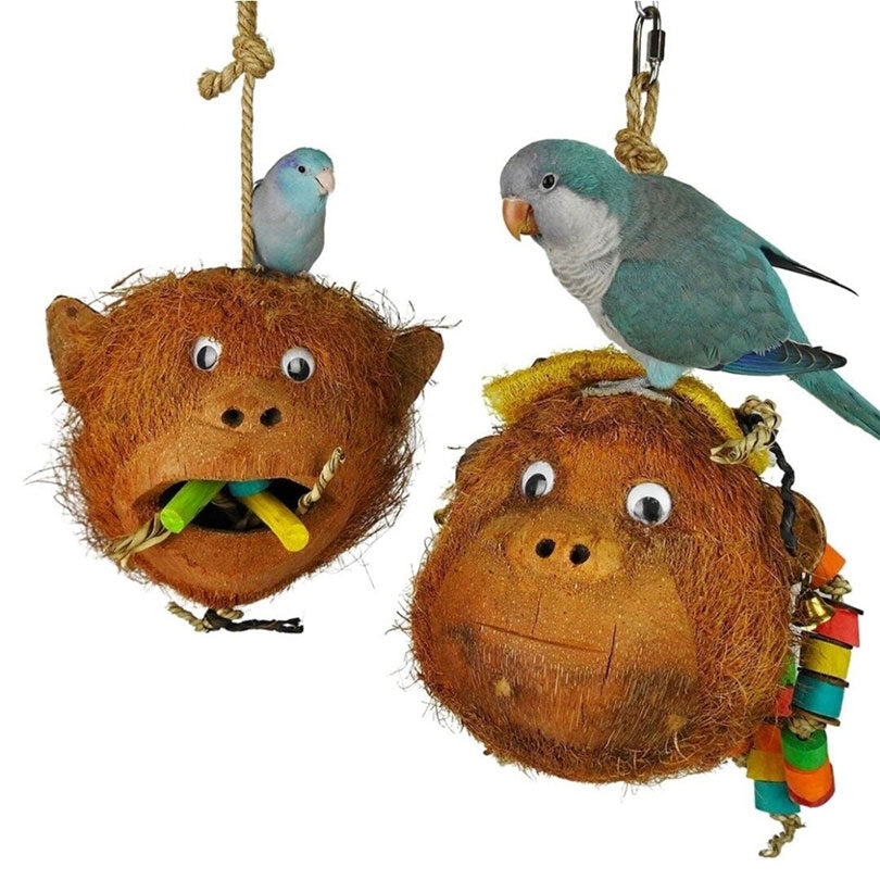 Mr and Miss Monkey