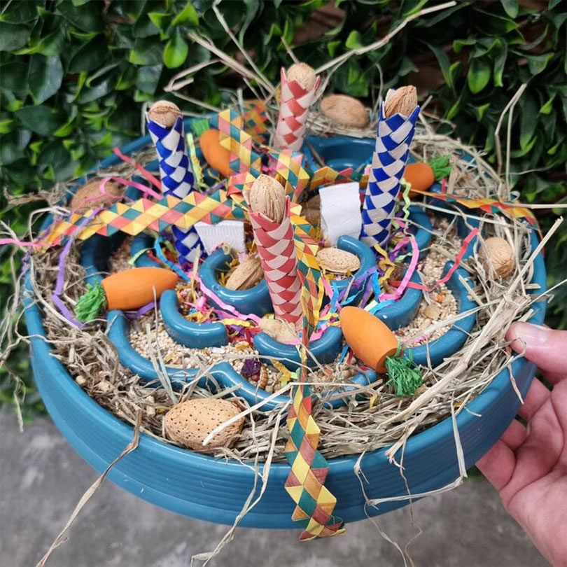 Parrot Foraging Bowls