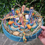 Parrot Foraging Bowls
