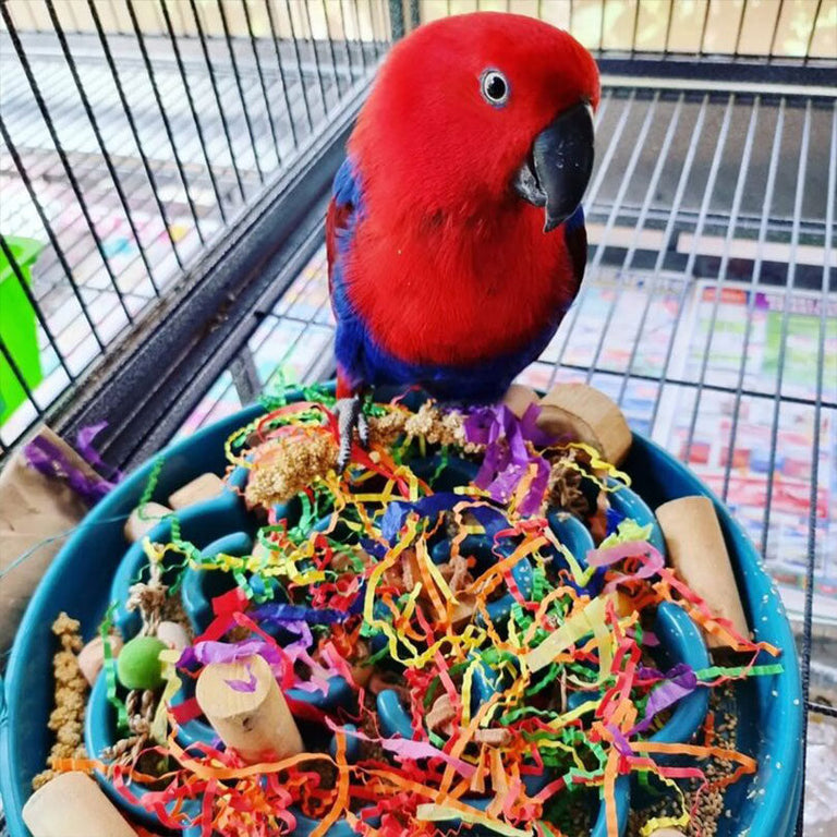 Wire Aviary For Parrots With Toys Attached photo