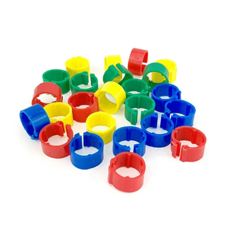 Poultry and Pigeon Plastic Clip Leg Ring – Queenslander Aviaries