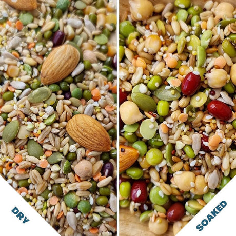 Raw for Birds Flock Soaking Blend