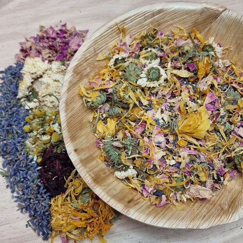Raw for Birds Floral Foraging Blend 20g