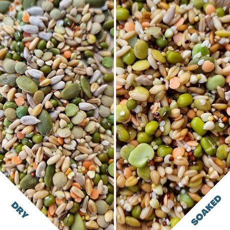 Raw for Birds Petite Soaking Blend