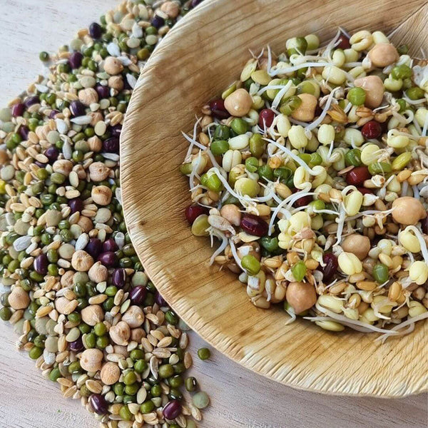 Raw for Birds Sprouting Blend