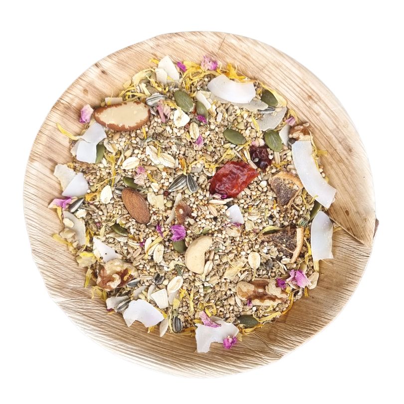 Raw for Birds Medium Parrot Seed Blend