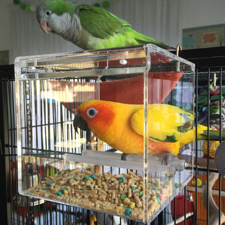 Seedmate - No Mess Feeder