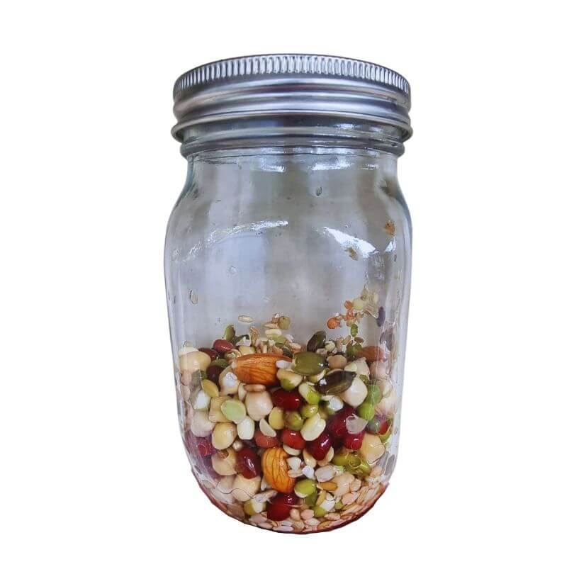 Beginner Sprouting Jar