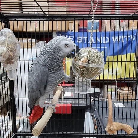 Swinging Forage Ball