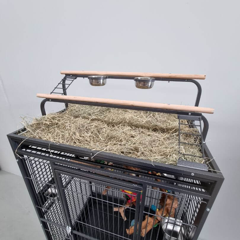 Xlarge Parrot Cage 403SB – Queenslander Aviaries