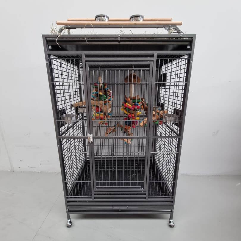 Stunning Parrot Midi Cage With Refreshing Toys image