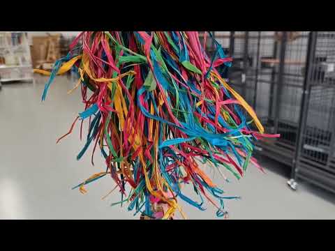 Jellyfish Shredder
