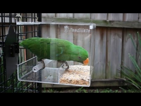 Seedmate - No Mess Feeder