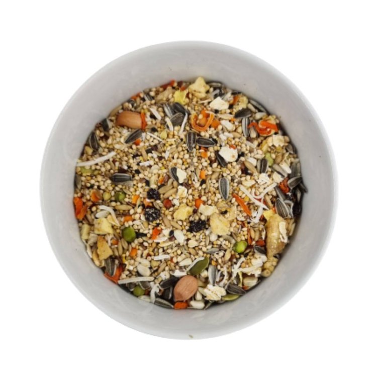 Forage Gourmet Small Parrot Blend